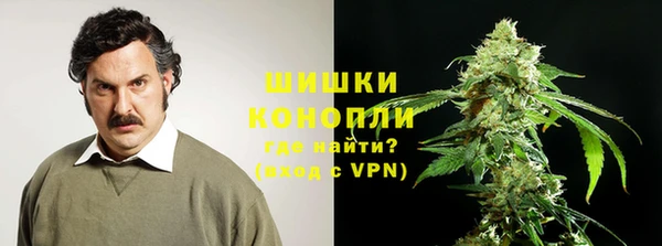 spice Осташков