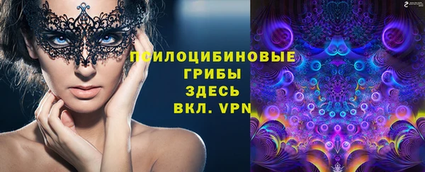 МДПВ Пестово