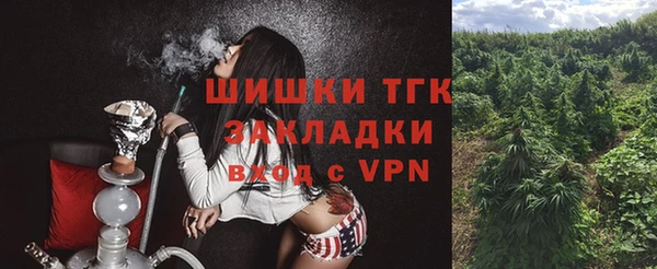 МДПВ Пестово