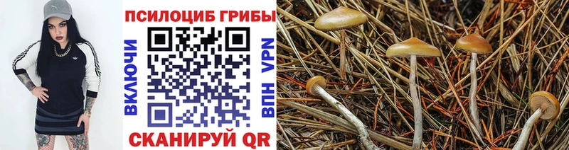 Псилоцибиновые грибы мухоморы  как найти закладки  Приозерск 